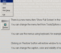 VLFullScreen ActiveX Product