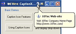 CaptionX ActiveX Product