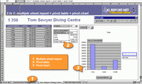 AfalinaSoft XL Report.NET ActiveX Product