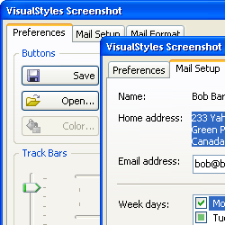 VisualStyles ActiveX Product
