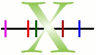 Cut 1D X ActiveX Product