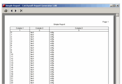 Catchysoft Report Generator Pro ActiveX Product
