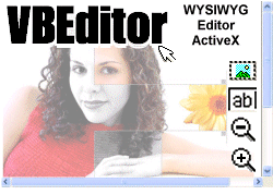 VBEditor screenshot