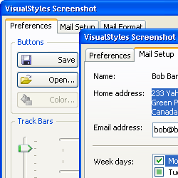 VisualStyles screenshot