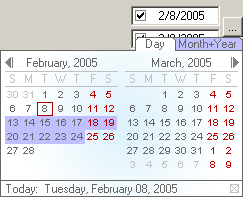 XE Date Control screenshot