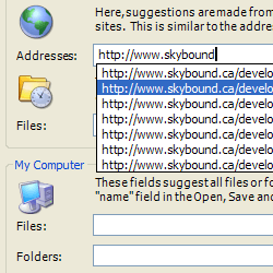AutoComplete screenshot