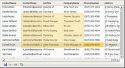 Nitobi Grid V3.2 screenshot