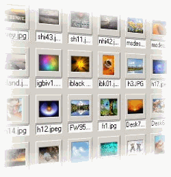 2007 Thumbnailer Plus screenshot