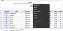 PHP DataGrid screenshot
